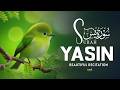 Surah Yasin(سورة يس)Beautiful Tilawat Inspiring Love for the Holy Quran