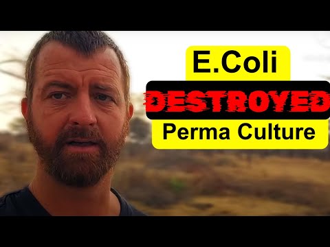 E.coli The dark side of permaculture