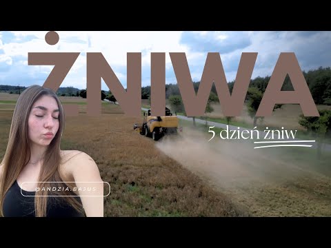 🌾 Three sisters, one farm, and harvest from three perspectives! 🌾 Fifth day of harvest [June 29, ...