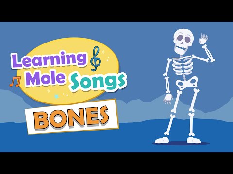 Bones Song for Kids | Science Songs for Kids | Skeleton for Kids  | Facts about bones for kids