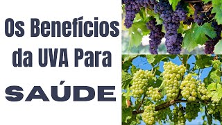 5 BENEFÍCIOS da UVA Para a SAÚDE