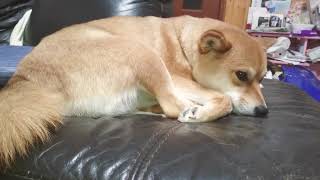 テスト