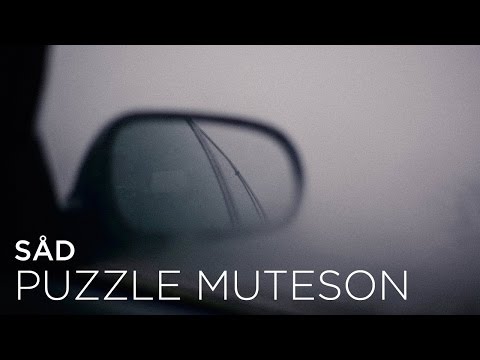 Puzzle Muteson - By Night