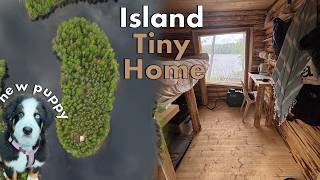 Island Tiny Home Done?! Solar and NEW Puppy! | Building a Log Cabin on Our Island Ep.20
