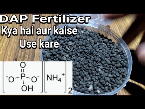 How to use dap fertilizer in plants