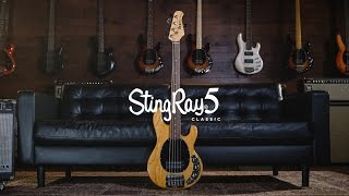 Ernie Ball Music Man Classic StingRay 5 Bass: Joe Dart Demos