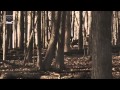 Paul van Dyk  Lost In Berlin featuring Michelle Leonard (Official Music Video)