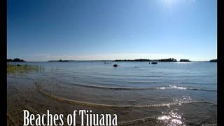 preview picture of video 'Beaches of Tijuana (original)'