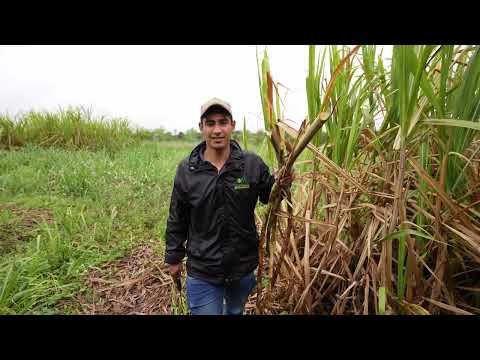 J&oacute;venes Equal