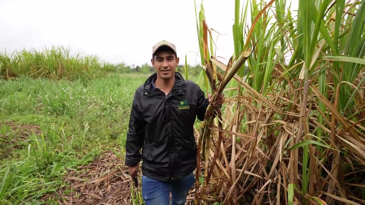 J&oacute;venes Equal