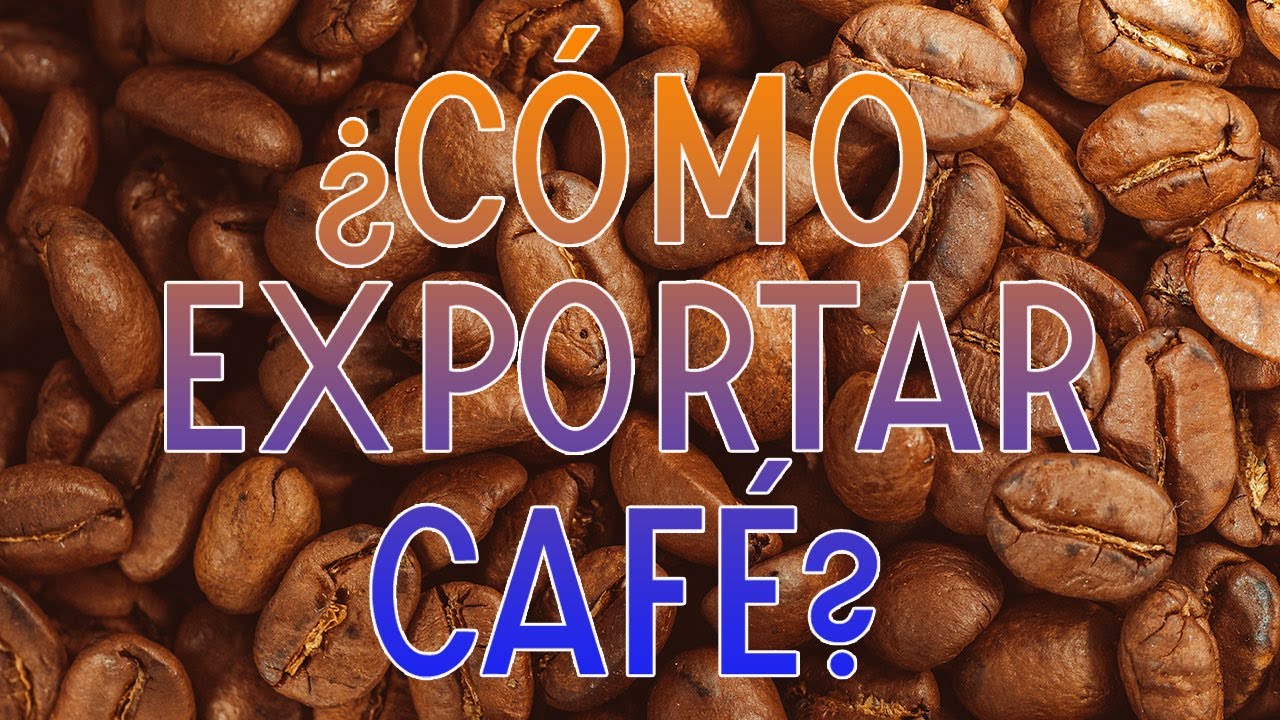 ¿Cómo exportar café? | Documentación necesaria
