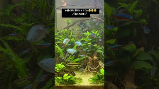 2026年5月15日