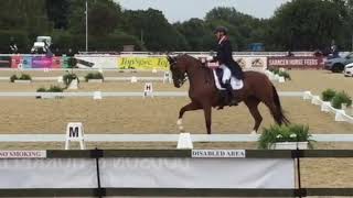 CDI du Mans : la victoire pour Gareth Hughes, Philippe Limousin inarrêtable