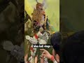 Holi Khele Mha Maiya Bulandshahr Kali 2023 Navratri