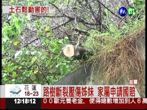 土石鬆動害的! 路樹倒塌壓傷姊妹