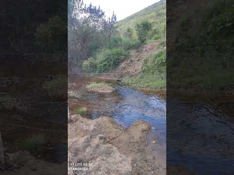 #riacho das passagens (são Bras Alagoas)