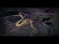 Morphology - Information Paradox (Sync 24 Remix)