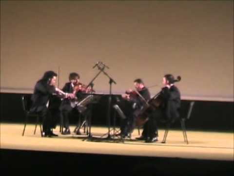 CZARDAS Quartetto d'archi Oblivion