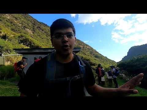 Whatipu beach to Pararaha Valley Campsite