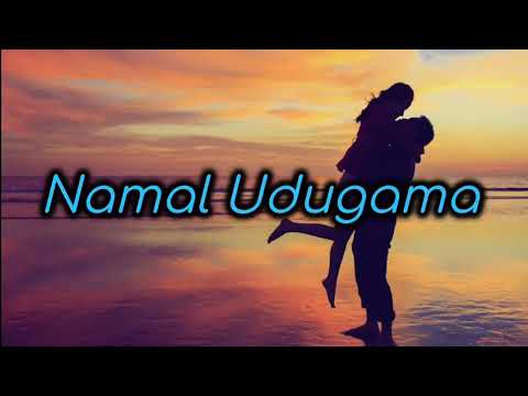 Sihina malehi nurawe ( සිහින මලෙහි නුරාවි ) lyrics video Namal udugama#namaludugama#sihina#lyrics