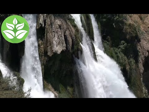 Stormy mountain waterfall. White noise (sound) of a mountain river for sleep and meditation.