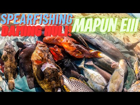 Island Exploration Spearfishing  Mapun, Tawi-Tawi! Catch Cook and Sell Episode III Eng Subtitle