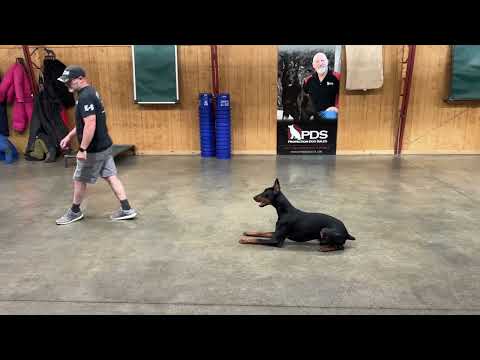 Playing Ball With "Grover" At 20 Months Old