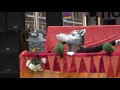 Big Bad Wolf