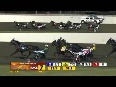 Meadowlands November 14, 2015 - Race 7 - Resolve