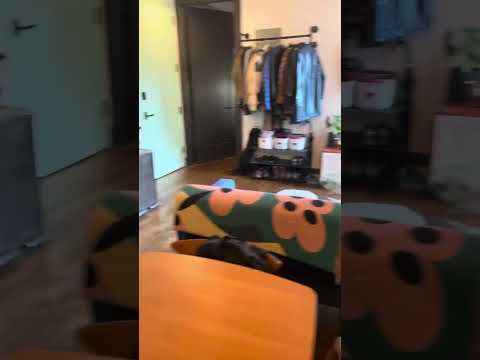 video 1