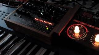 Video thumbnail for LepLoop-Acid  short test analog synthesizer by Dziam Bass