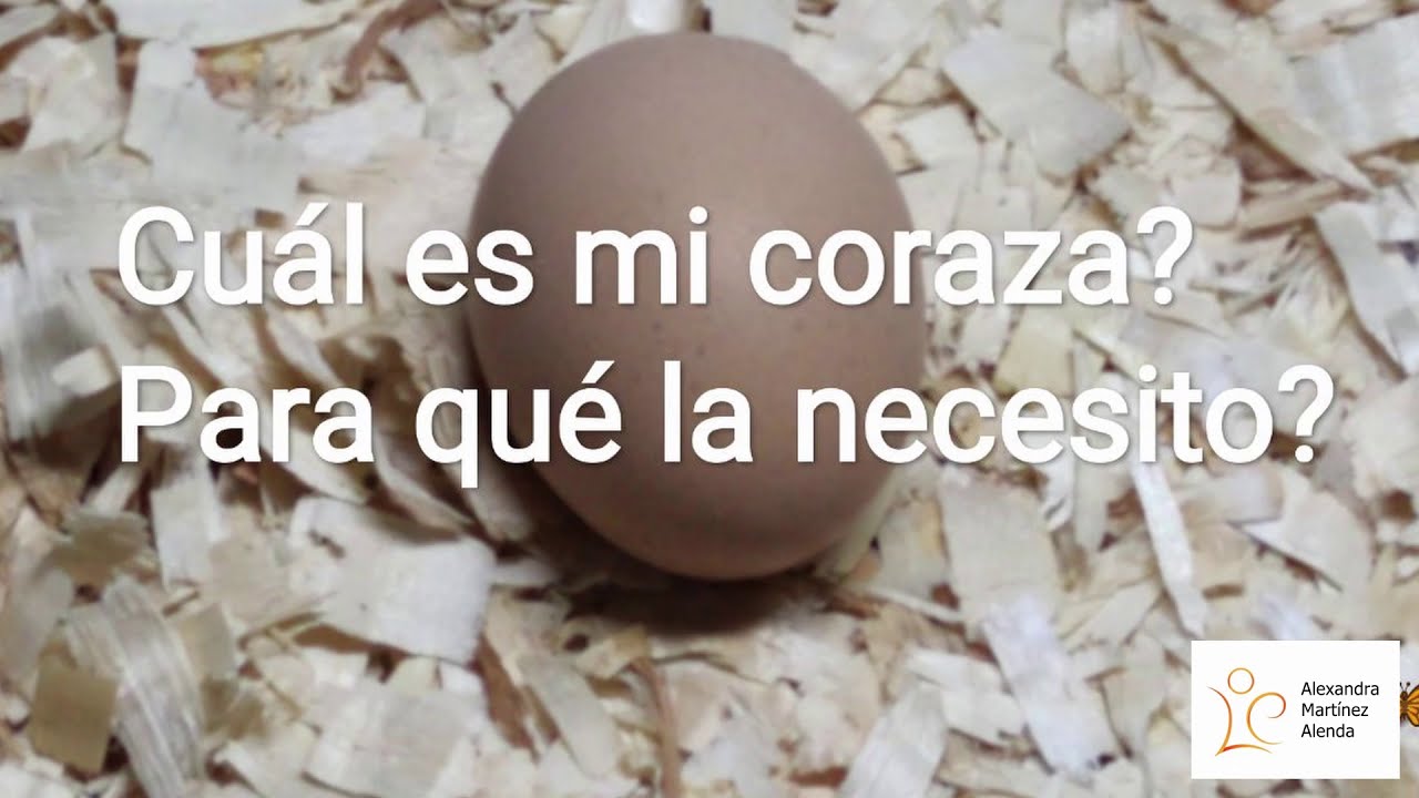 <b>Pregunta 15:</b> ¿Cuál es mi coraza? ¿Para qué la necesito?