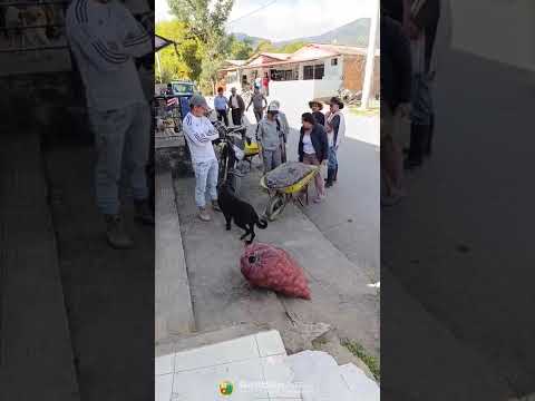 🤝🌱 Apoyo que fortalece a nuestras familias rondonenses 🌱🤝