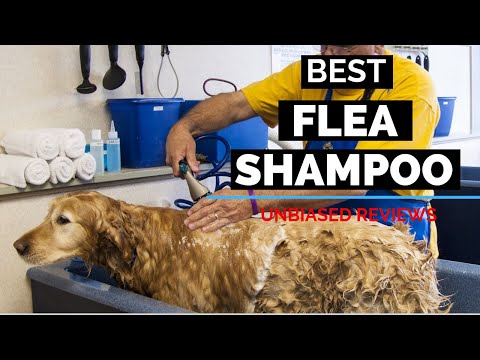 10 Best Flea Shampoos For Dogs 2020 | Unbiased Review of Pet Shampoo