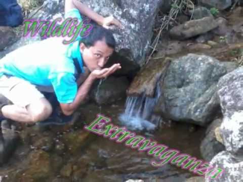 Agastyarkoodam Album