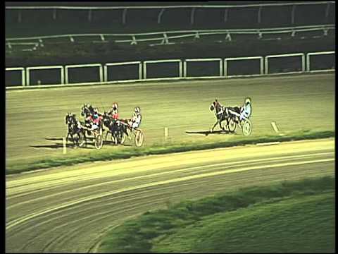 Trotto 20/03/2016 - Minitrotter