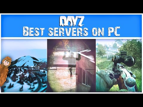 The BEST PC Servers You NEED TO PLAY Now! | DayZ