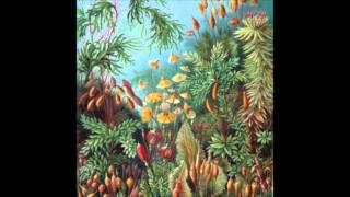 Mark Barrott - Earthborn