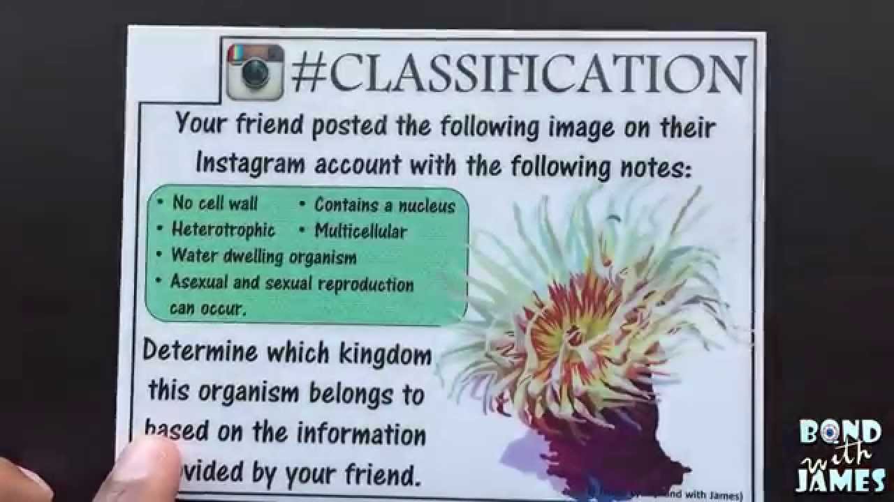 Classification and Taxonomy Task Cards