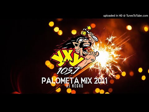Palometa Mix Navideño 2011 - Dj Negro