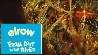 From Lost to the River