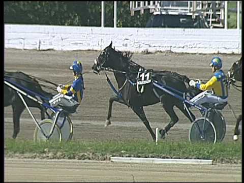 Trotto 20/05/2016 - 5° corsa