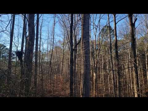 Calm Before the Cold and the Holiday Bustle