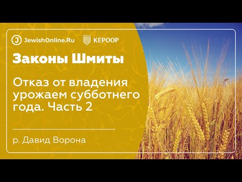 Законы шмиты. Урок 11: Отказ от владения урожаем субботнего года