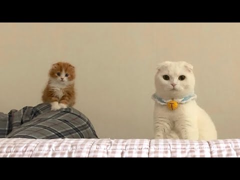 7년 전인데 기억나니?