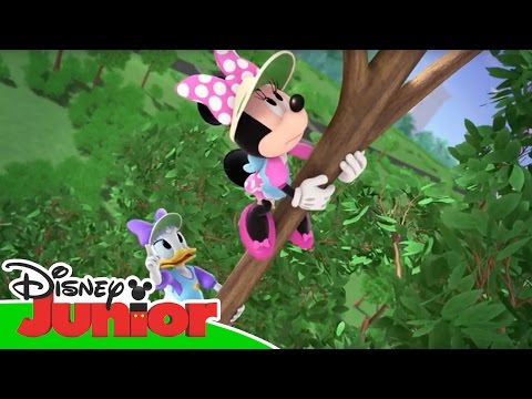 Topolino e gli Amici del Rally - Batuffolina - Dall'episodio 01