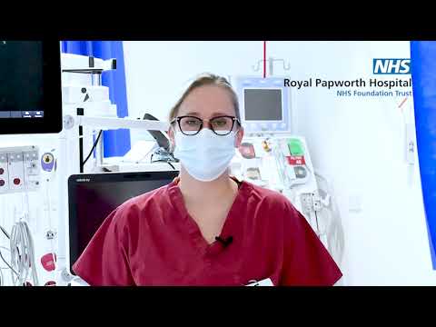 An insight into the role of a critical care scientist