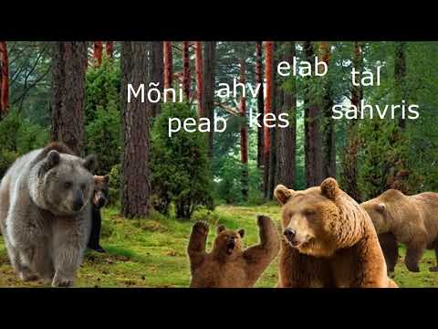 Apelsin   Karulaul (sõnad)