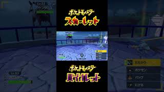 【ポケモンSV】危険な場所で荒ぶるケンタロス #shorts【ポケットモンスター スカーレット・バイオレット】