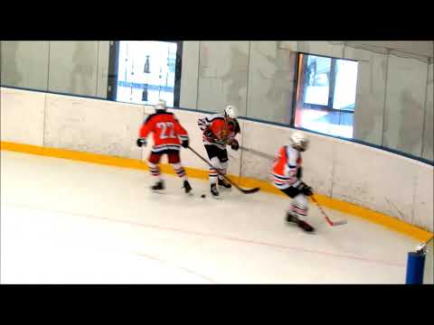 Tereza Pištěková (HC Lvi 2009 - Havlíčkův Brod 0:8, ročník 2006) 2020-21